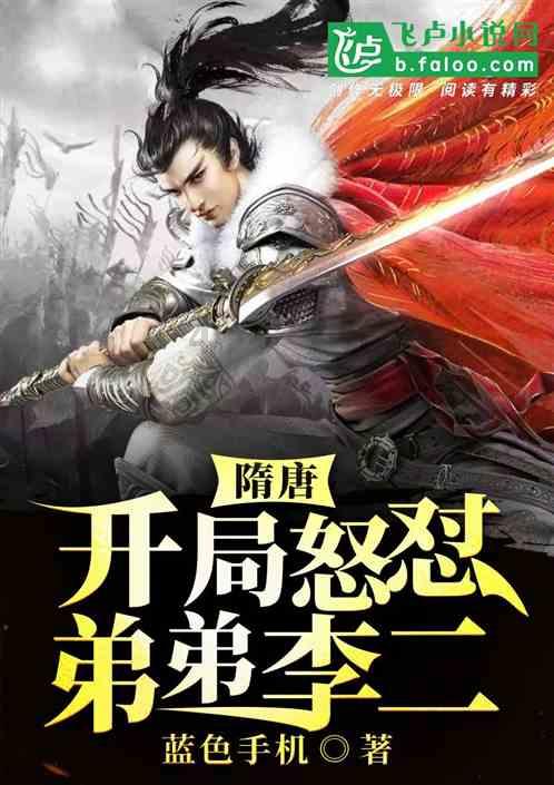 超三国无双2